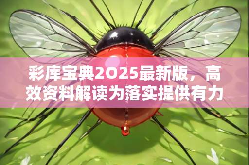 彩库宝典2O25最新版，高效资料解读为落实提供有力保障—YbZdc