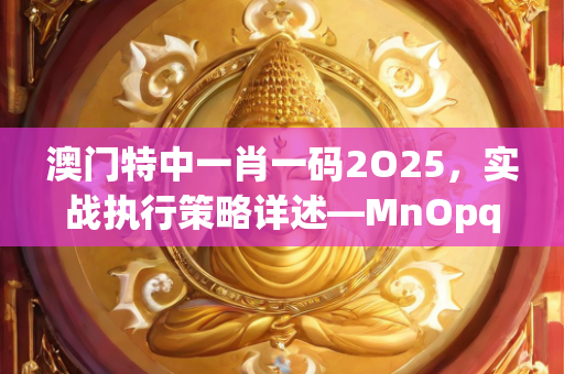 澳门特中一肖一码2O25，实战执行策略详述—MnOpq