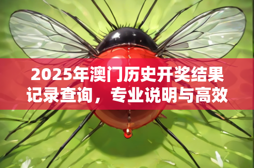 2025年澳门历史开奖结果记录查询，专业说明与高效解析方法—YbZda