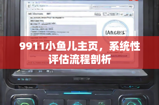 9911小鱼儿主页，系统性评估流程剖析