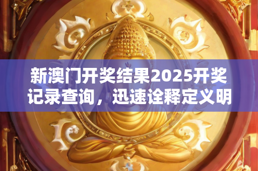 新澳门开奖结果2025开奖记录查询，迅速诠释定义明了