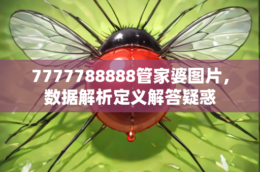 7777788888管家婆图片，数据解析定义解答疑惑