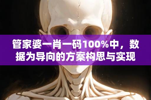 管家婆一肖一码100%中，数据为导向的方案构思与实现策略—BeCfD