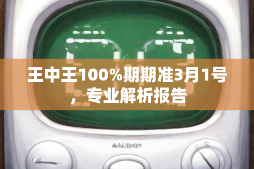 王中王100%期期准3月1号，专业解析报告