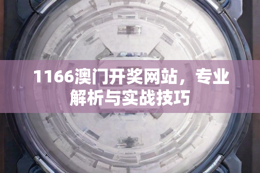 1166澳门开奖网站，专业解析与实战技巧