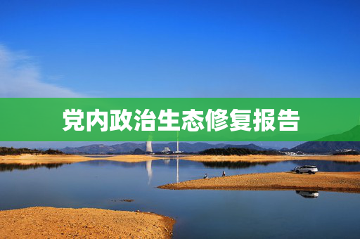 党内政治生态修复报告