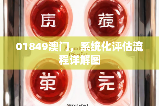 01849澳门，系统化评估流程详解图