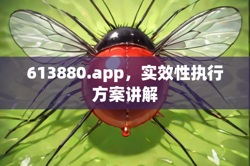 613880.app，实效性执行方案讲解