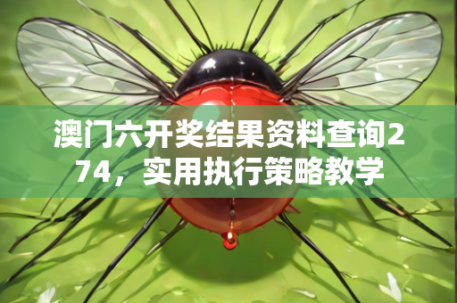 澳门六开奖结果资料查询274，实用执行策略教学