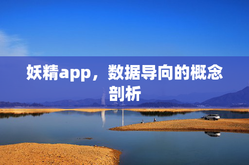 妖精app，数据导向的概念剖析