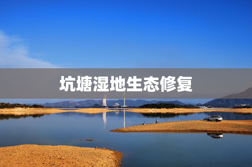 坑塘湿地生态修复