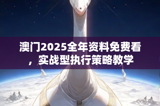 澳门2025全年资料免费看，实战型执行策略教学