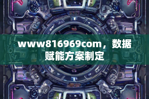 www816969com，数据赋能方案制定