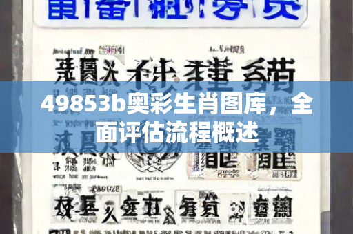 49853b奥彩生肖图库，全面评估流程概述