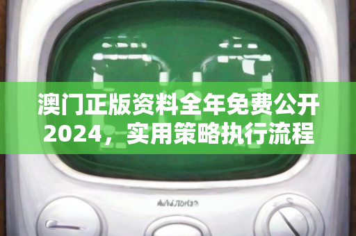 澳门正版资料全年免费公开2024，实用策略执行流程教学