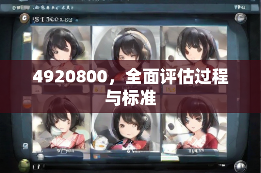 4920800，全面评估过程与标准