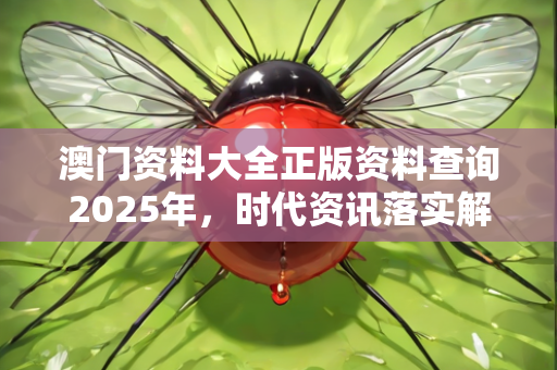 澳门资料大全正版资料查询2025年，时代资讯落实解释