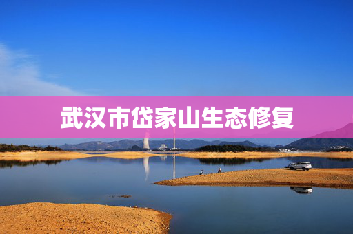 武汉市岱家山生态修复