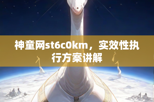 神童网st6c0km，实效性执行方案讲解