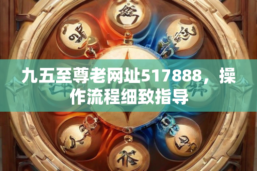 九五至尊老网址517888，操作流程细致指导