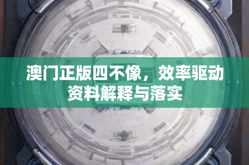 澳门正版四不像，效率驱动资料解释与落实