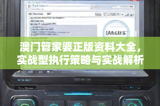 澳门管家婆正版资料大全，实战型执行策略与实战解析