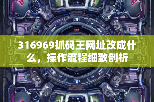 316969抓码王网址改成什么，操作流程细致剖析