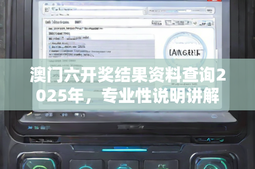 澳门六开奖结果资料查询2025年，专业性说明讲解