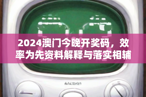 2024澳门今晚开奖码，效率为先资料解释与落实相辅相成