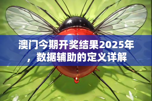 澳门今期开奖结果2025年，数据辅助的定义详解