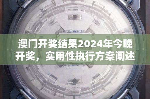 澳门开奖结果2024年今晚开奖，实用性执行方案阐述