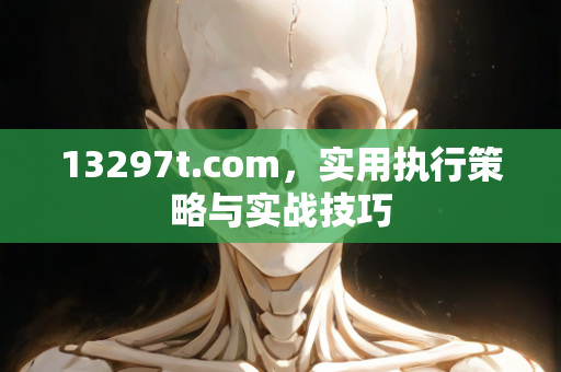 13297t.com，实用执行策略与实战技巧