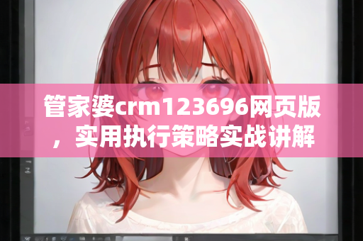 管家婆crm123696网页版，实用执行策略实战讲解