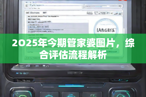 2O25年今期管家婆图片，综合评估流程解析