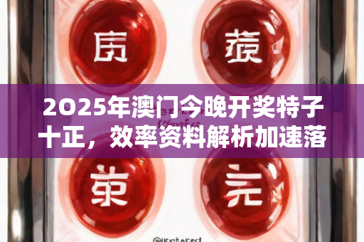 2O25年澳门今晚开奖特子十正，效率资料解析加速落实进程