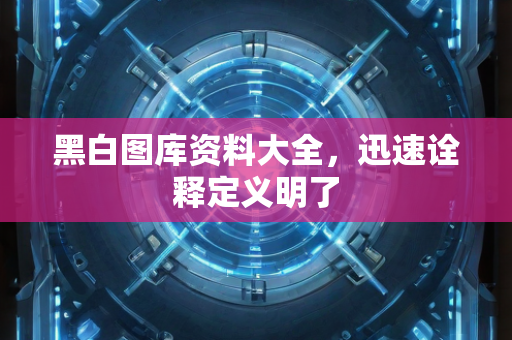 黑白图库资料大全，迅速诠释定义明了