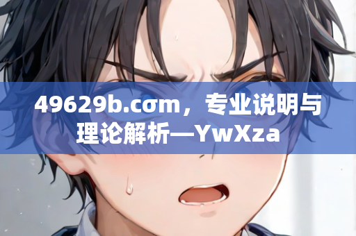 49629b.cσm，专业说明与理论解析—YwXza