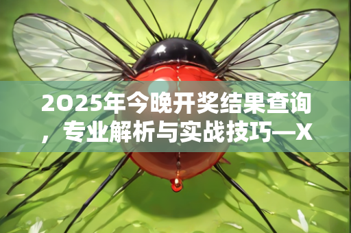 2O25年今晚开奖结果查询，专业解析与实战技巧—XvYzb