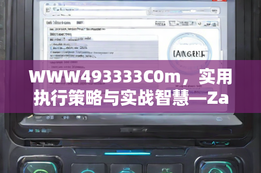 WWW493333C0m，实用执行策略与实战智慧—ZaXbB