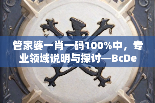 管家婆一肖一码100%中，专业领域说明与探讨—BcDeF