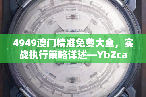 4949澳门精准免费大全，实战执行策略详述—YbZca