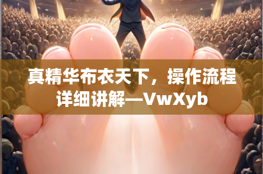 真精华布衣天下，操作流程详细讲解—VwXyb