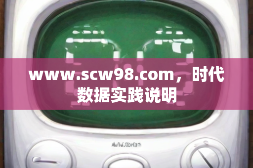 www.scw98.com，时代数据实践说明