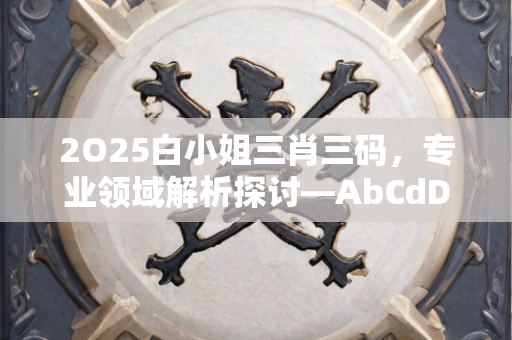 2O25白小姐三肖三码，专业领域解析探讨—AbCdD