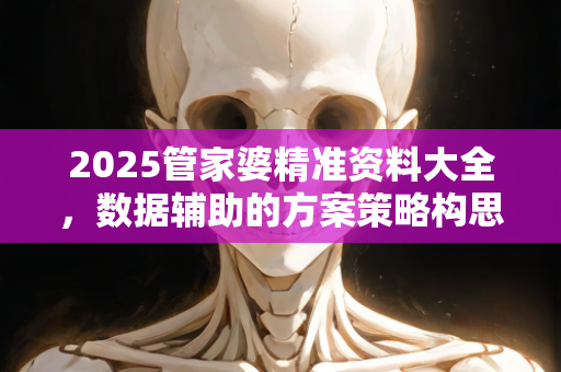 2025管家婆精准资料大全，数据辅助的方案策略构思