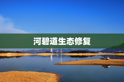 河碧道生态修复