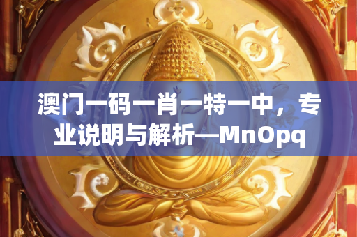 澳门一码一肖一特一中，专业说明与解析—MnOpq