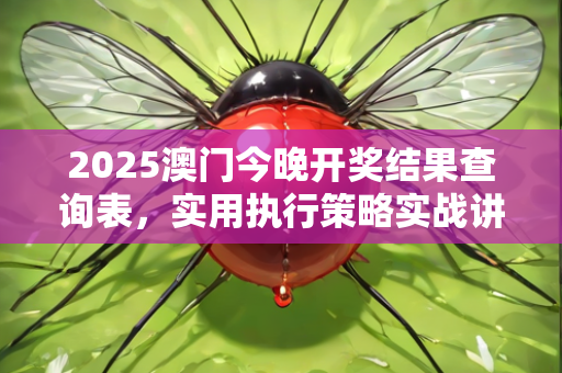 2025澳门今晚开奖结果查询表，实用执行策略实战讲解