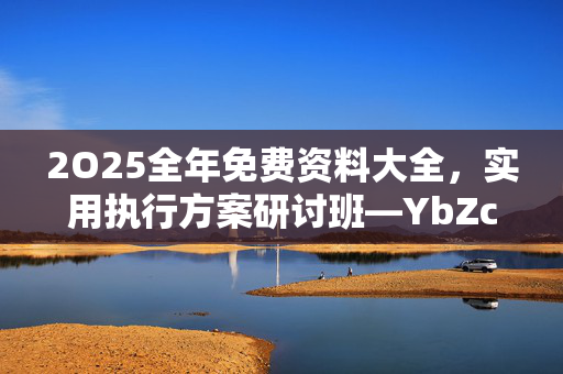 2O25全年免费资料大全，实用执行方案研讨班—YbZca