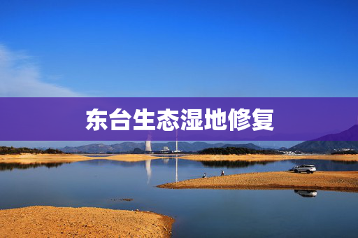 东台生态湿地修复